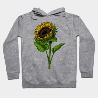 Sunflower 3 Hoodie